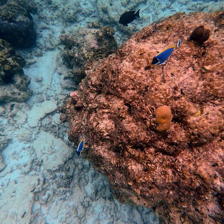 Moodhumaa Inn Guraidhoo  Ngoại thất bức ảnh