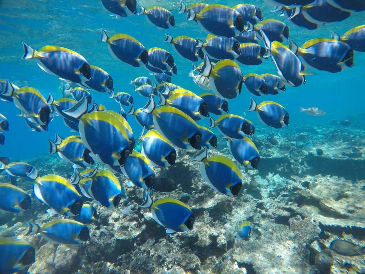 Moodhumaa Inn Guraidhoo  Ngoại thất bức ảnh